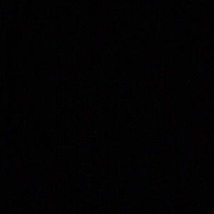 Meet your Posher, Tia